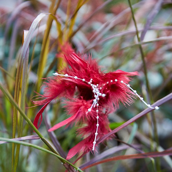 Feathers on a stick are a nice item to upgrade your bouquets.