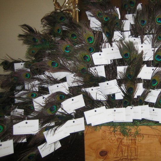 How to seat your guests and give each guest a special keepsake, a peacock feather.