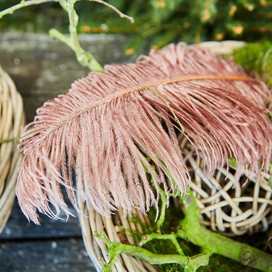 Ostrich feathers are beautiful to  decorate with.