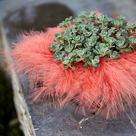 Soft marabou feathers in a soft coral color. That's all it takes!