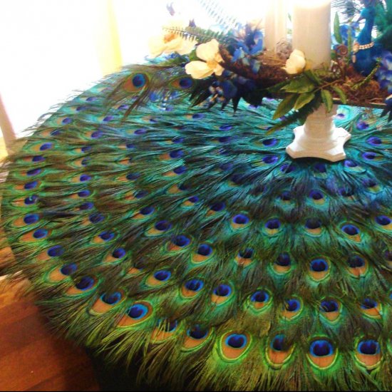Tired of the same old linnen tablecloth? Be original, use peacock feathers instead!
