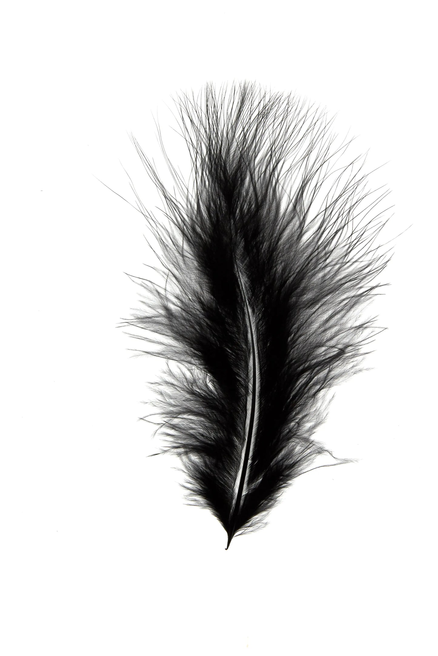 Marabú 12-15cm negro