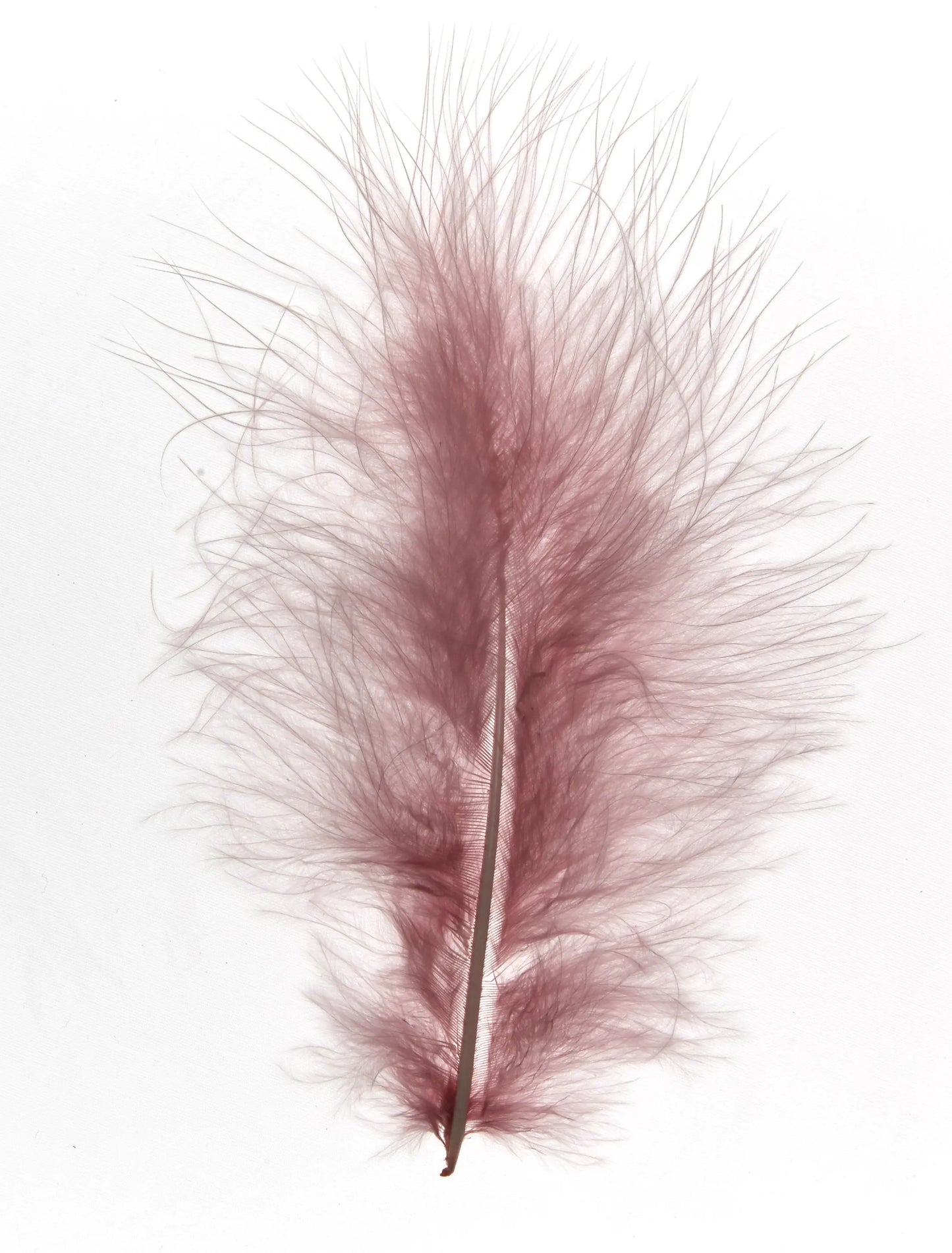 Marabú 12-15cm rosa viejo