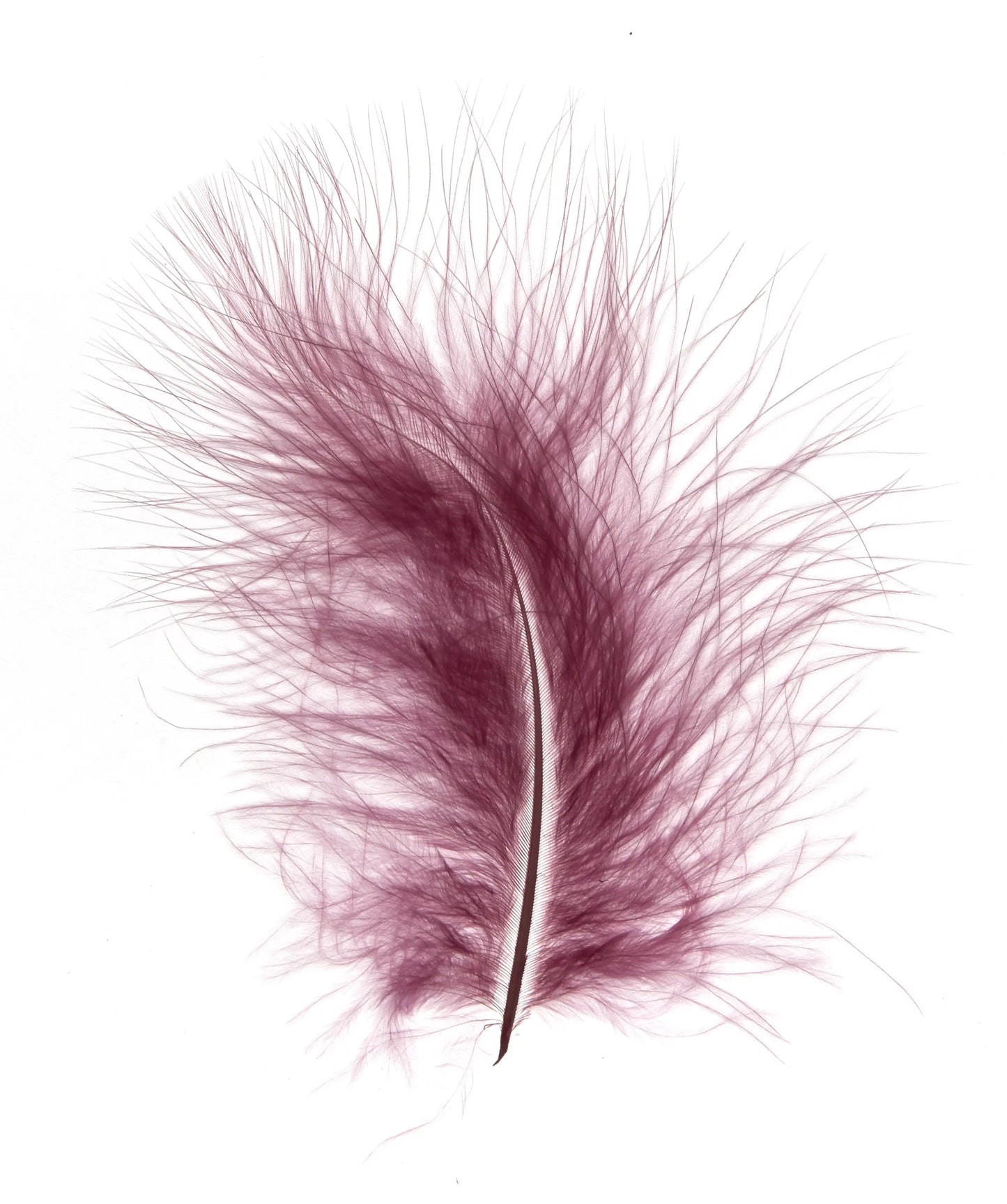 Marabú 12-15cm violeta