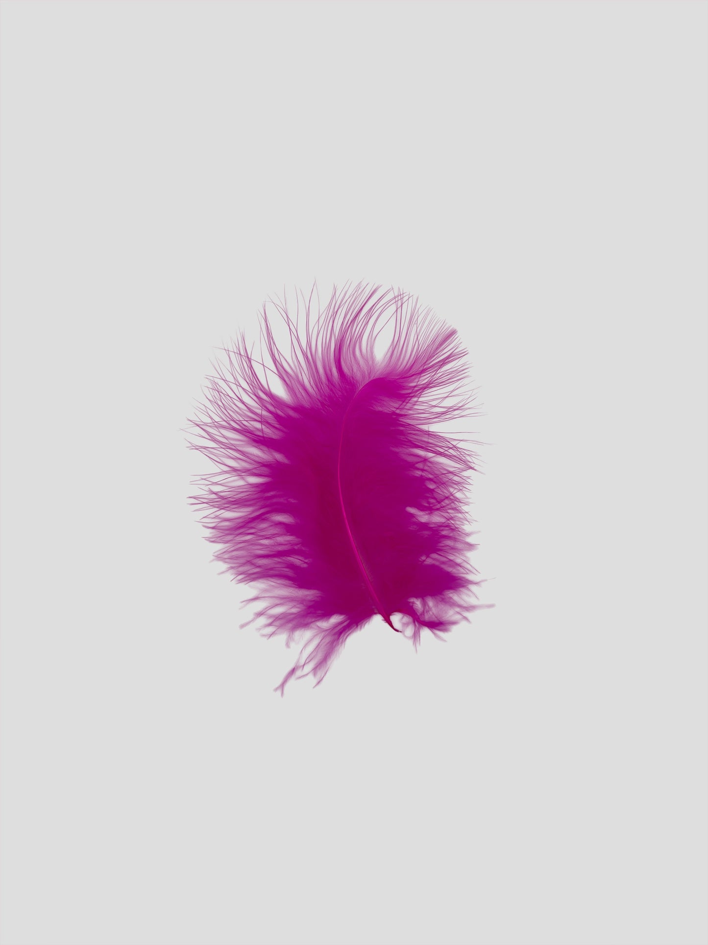 Marabou 12-15cm fuchsia