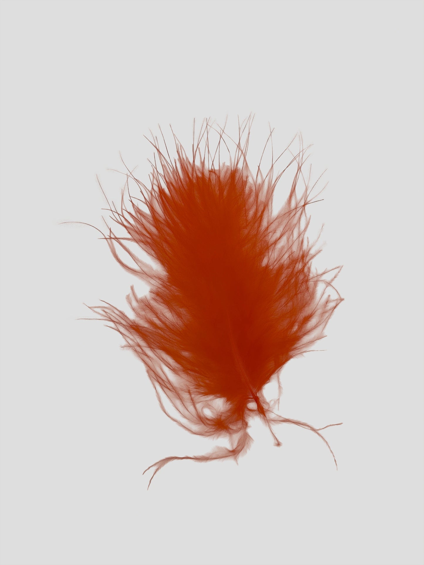 Marabou 12-15cm oranje