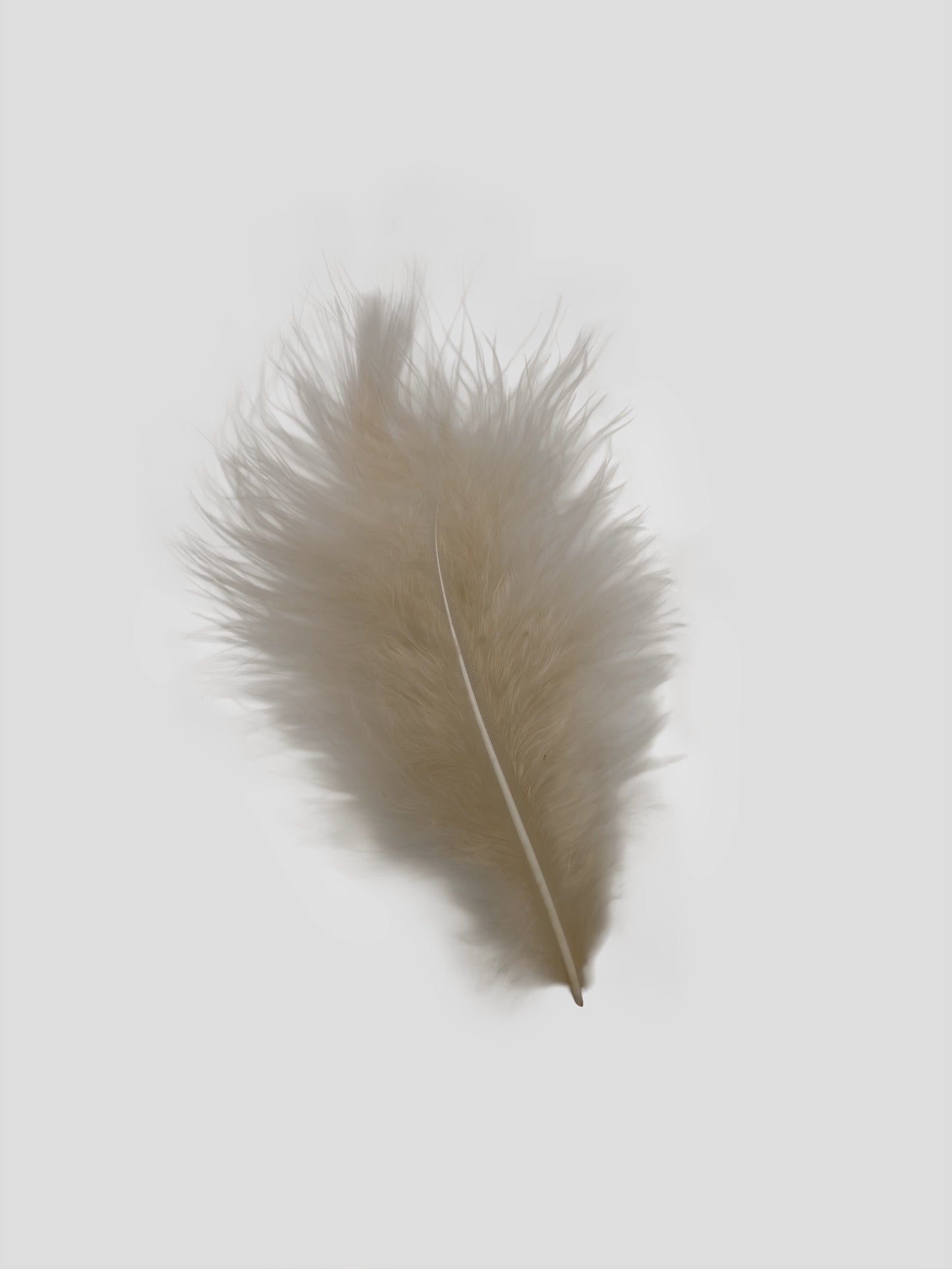 Marabou 12-15cm ecru