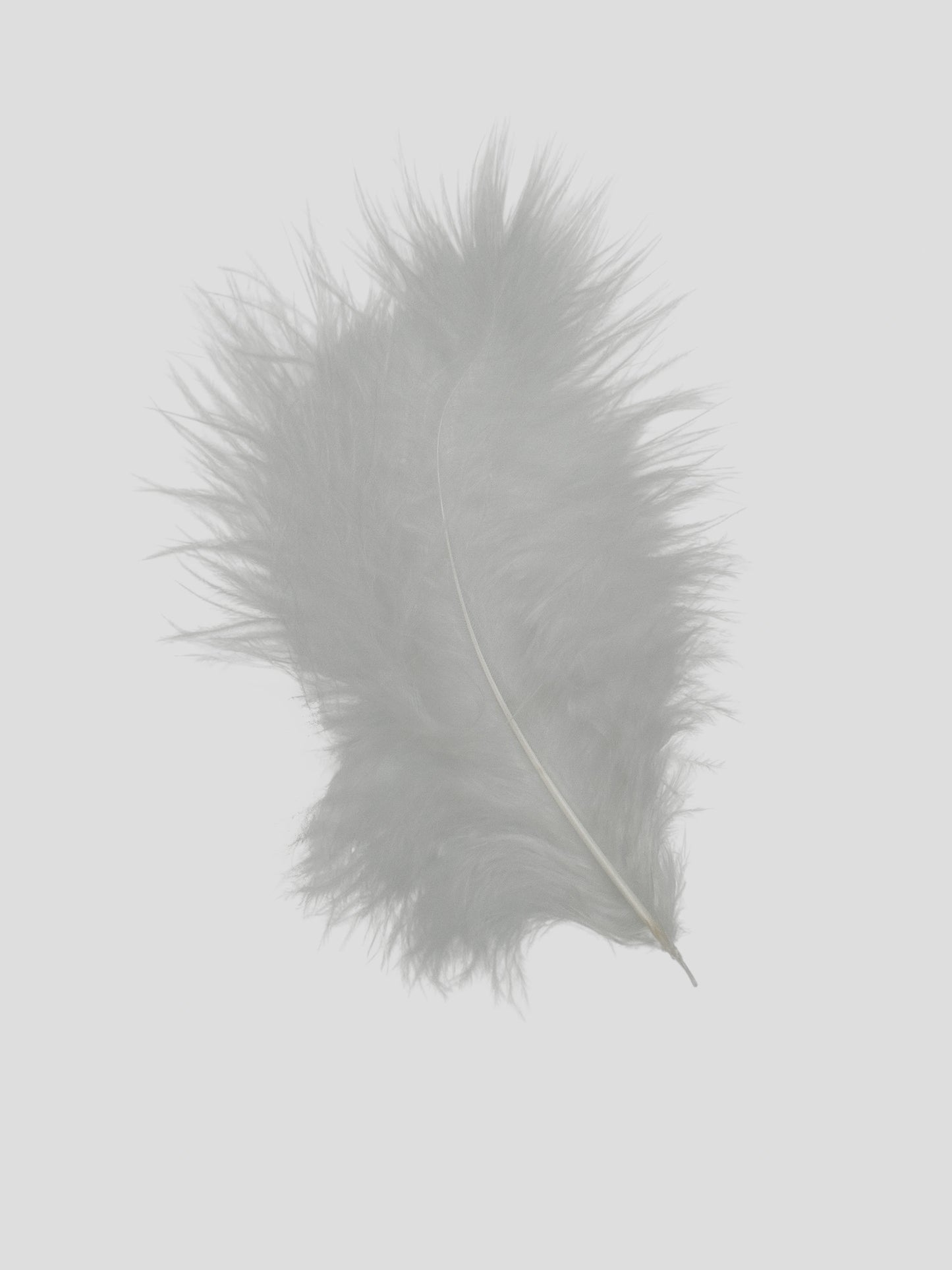 Marabù 12-15cm bianco