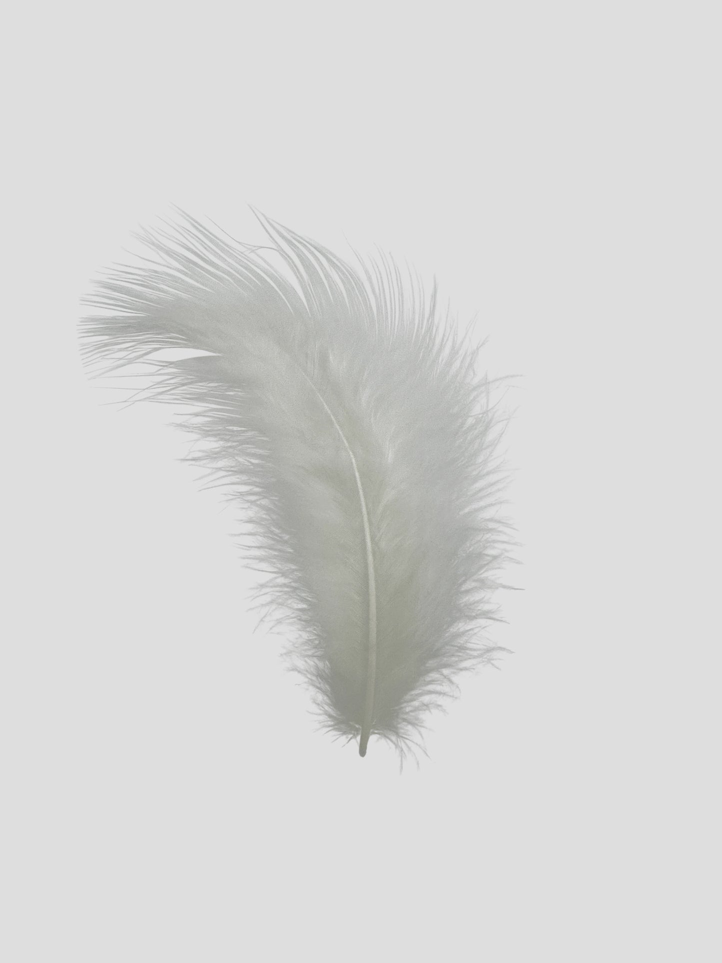 Marabou 12-15cm parelmoer