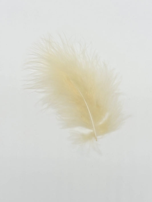 Marabù 12-15cm champagne