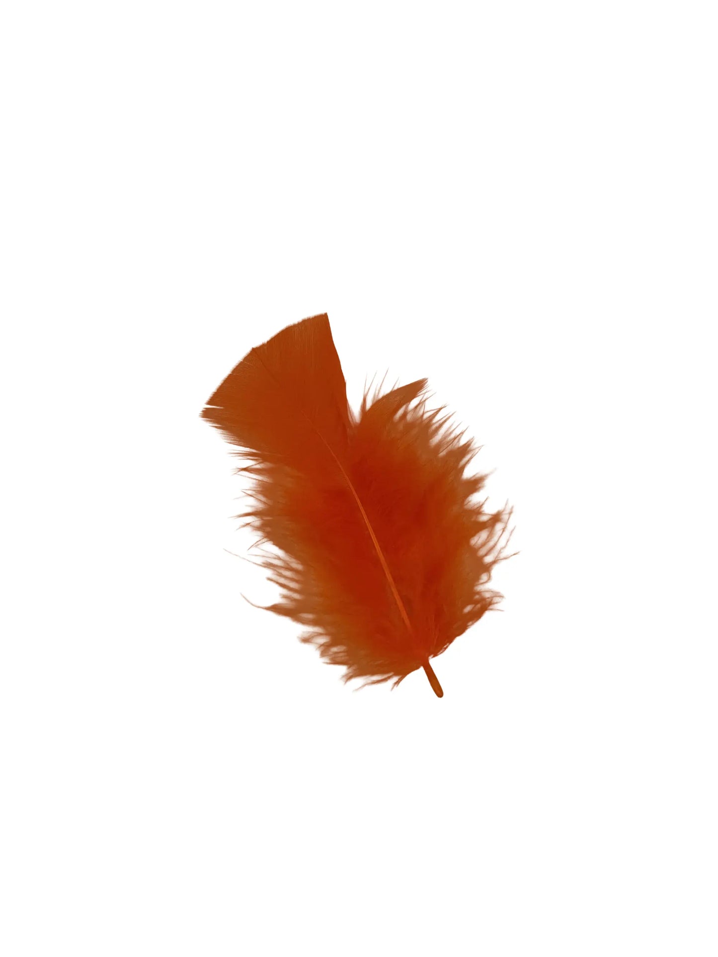 Pavo 10cm naranja