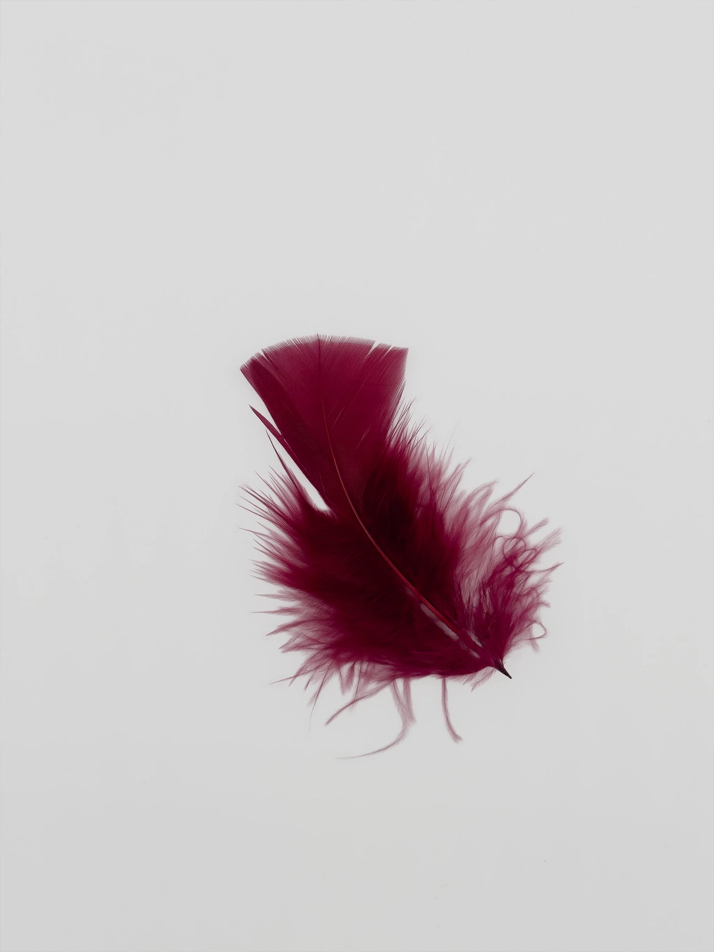 Turkey 10cm bordeaux