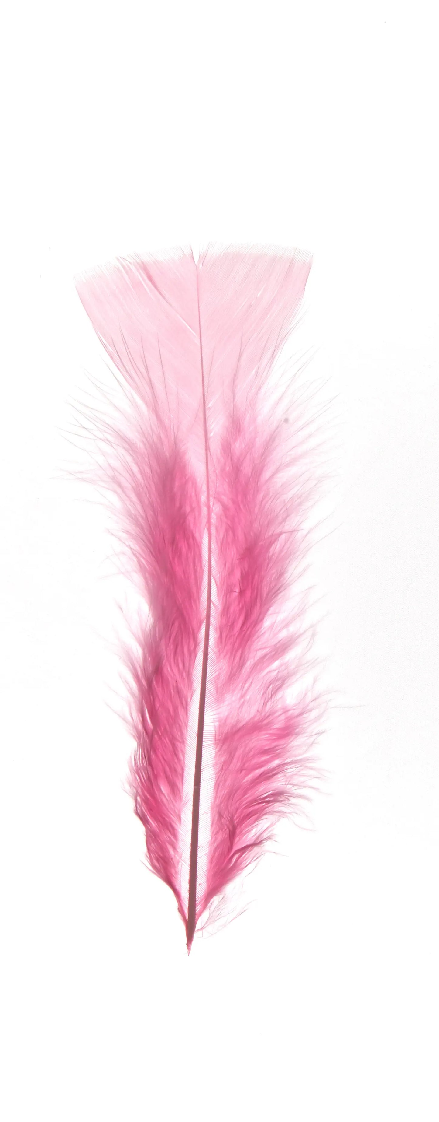 Plumas planas 15cm rosa intenso