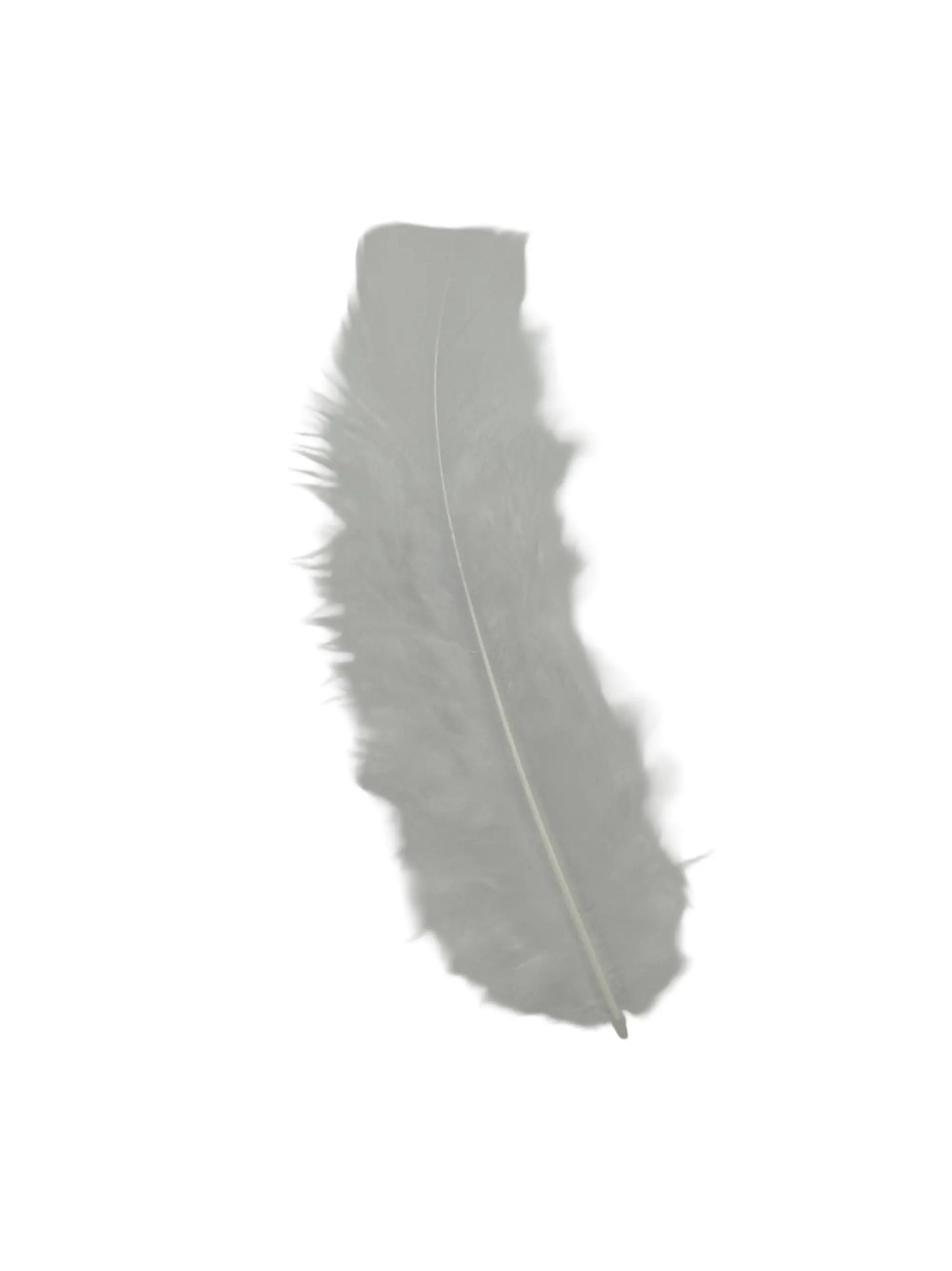 Plumas planas 15cm blanco