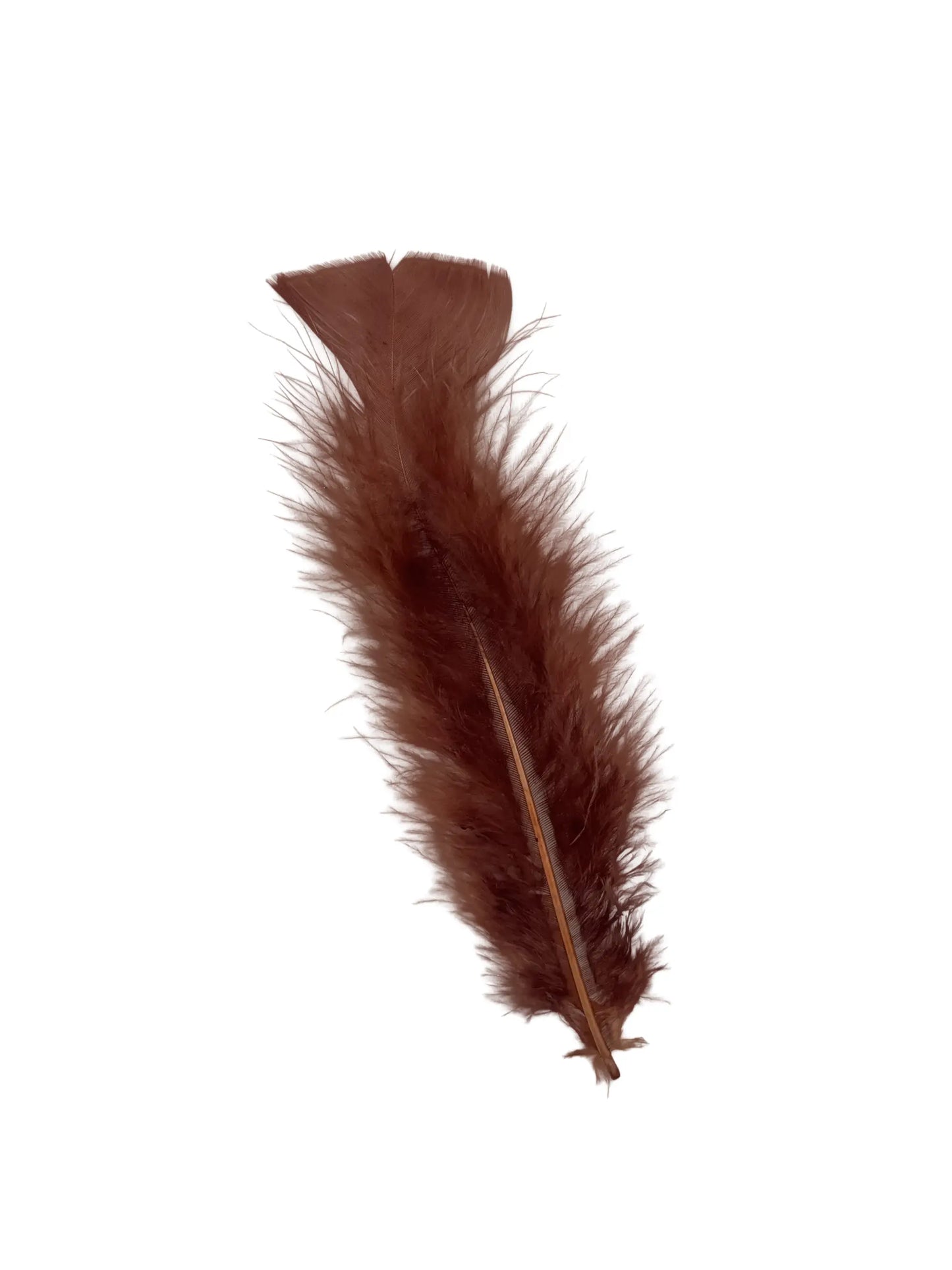 Plumas planas 15cm chocolate