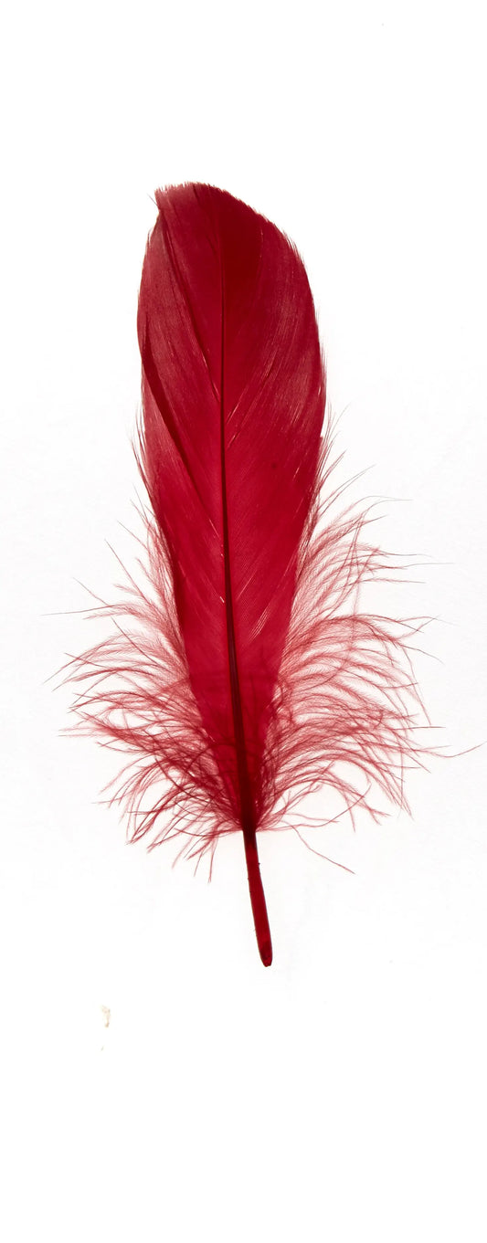 Ganso nagoire 16-20cm rojo tomate