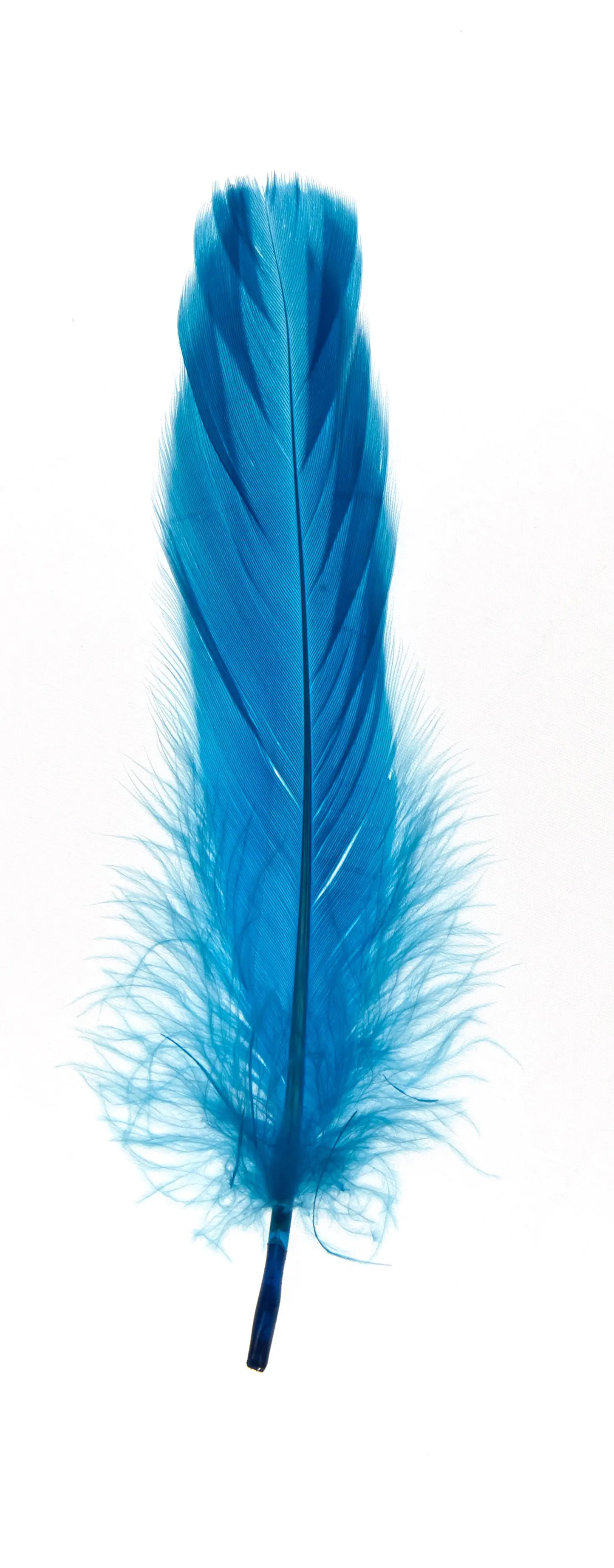 Ganso nagoire 16-20cm turquesa