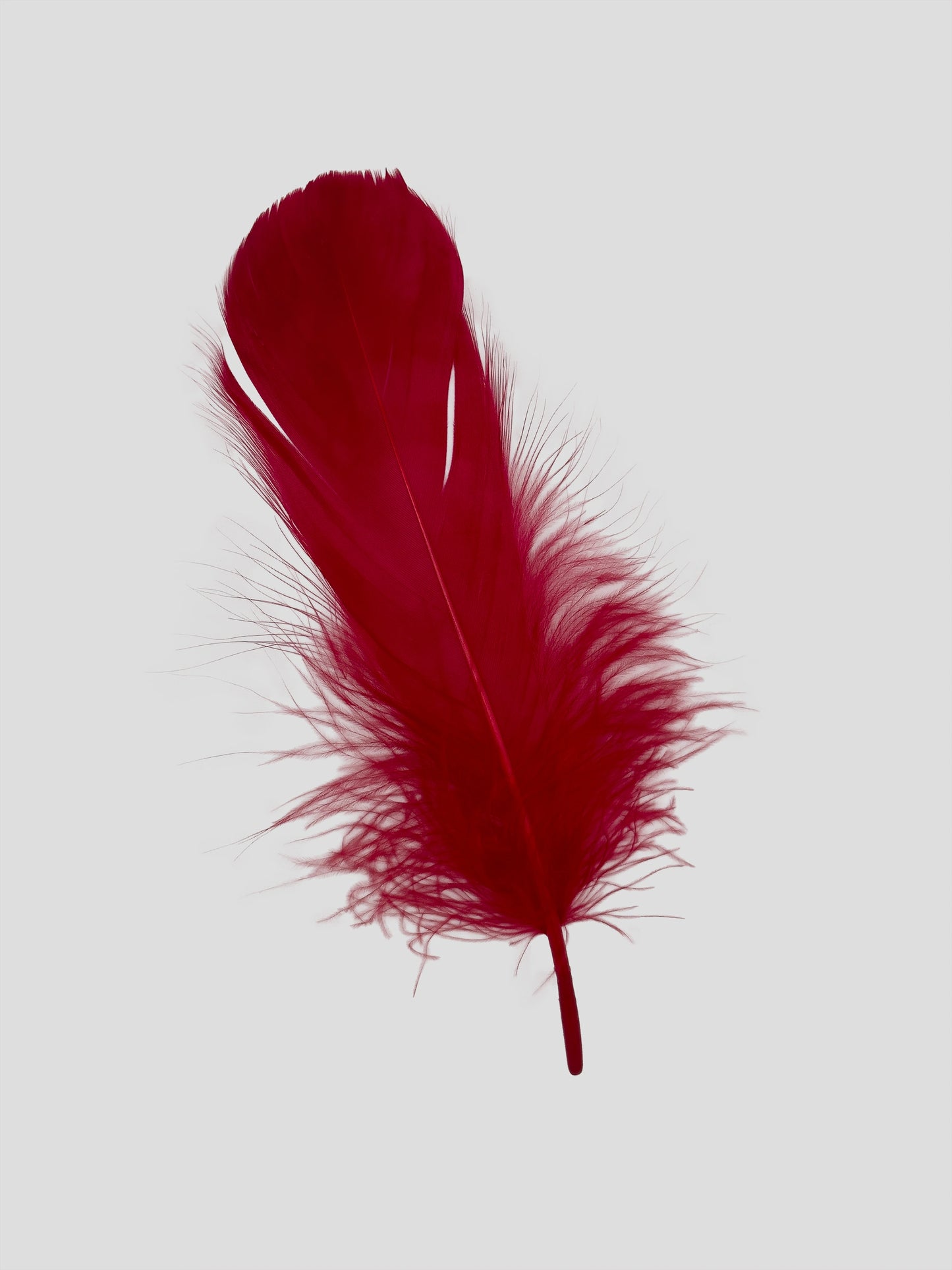 Fins 12-15cm tomato red