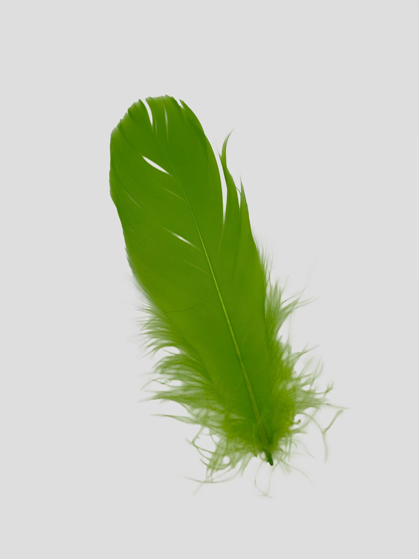 Nageoires 12-15cm lichtgroen