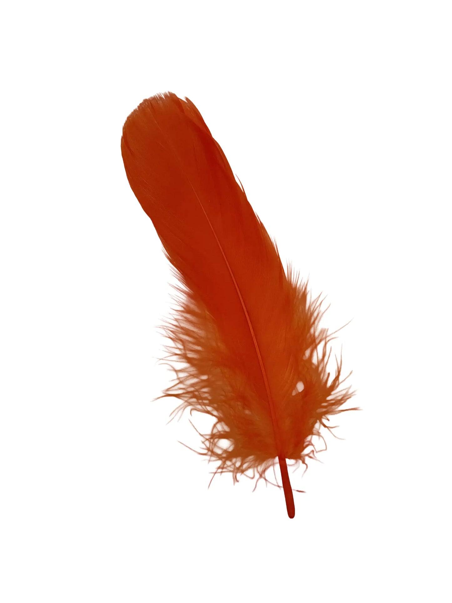 Ganso nagoire 12-15cm naranja