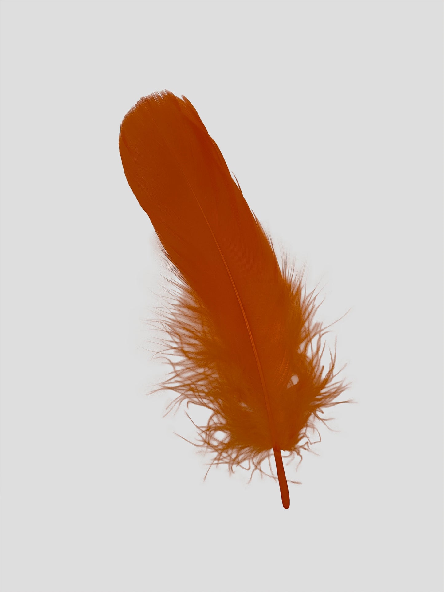 Nageoires 12-15cm oranje