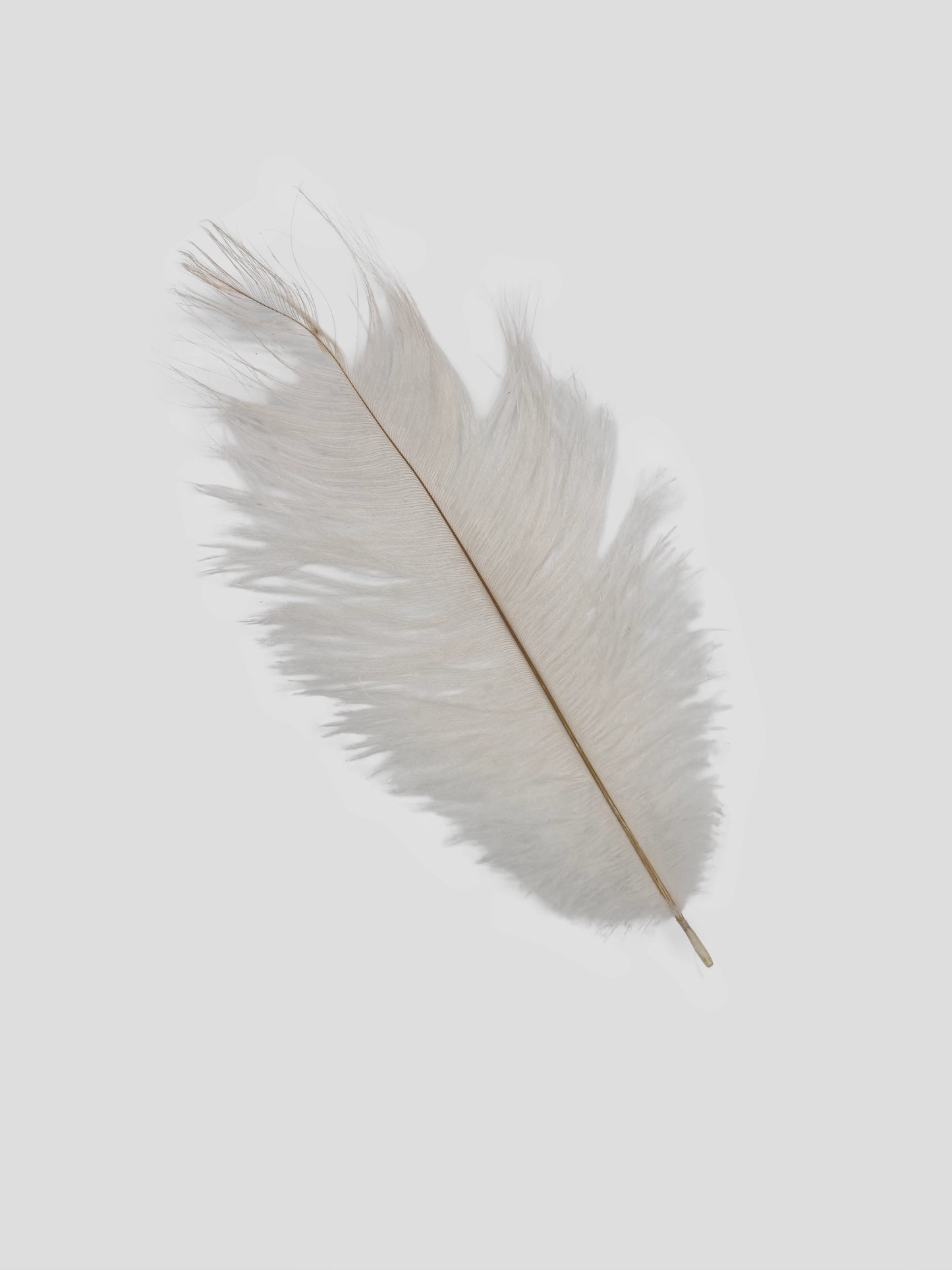 Drabs 30-35cm bianco