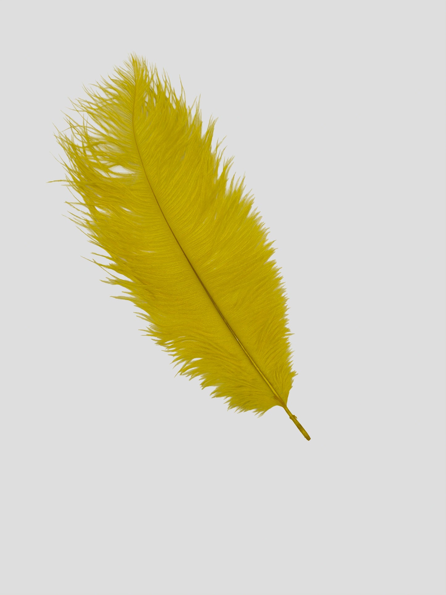 Drabs 30-35cm paasgeel