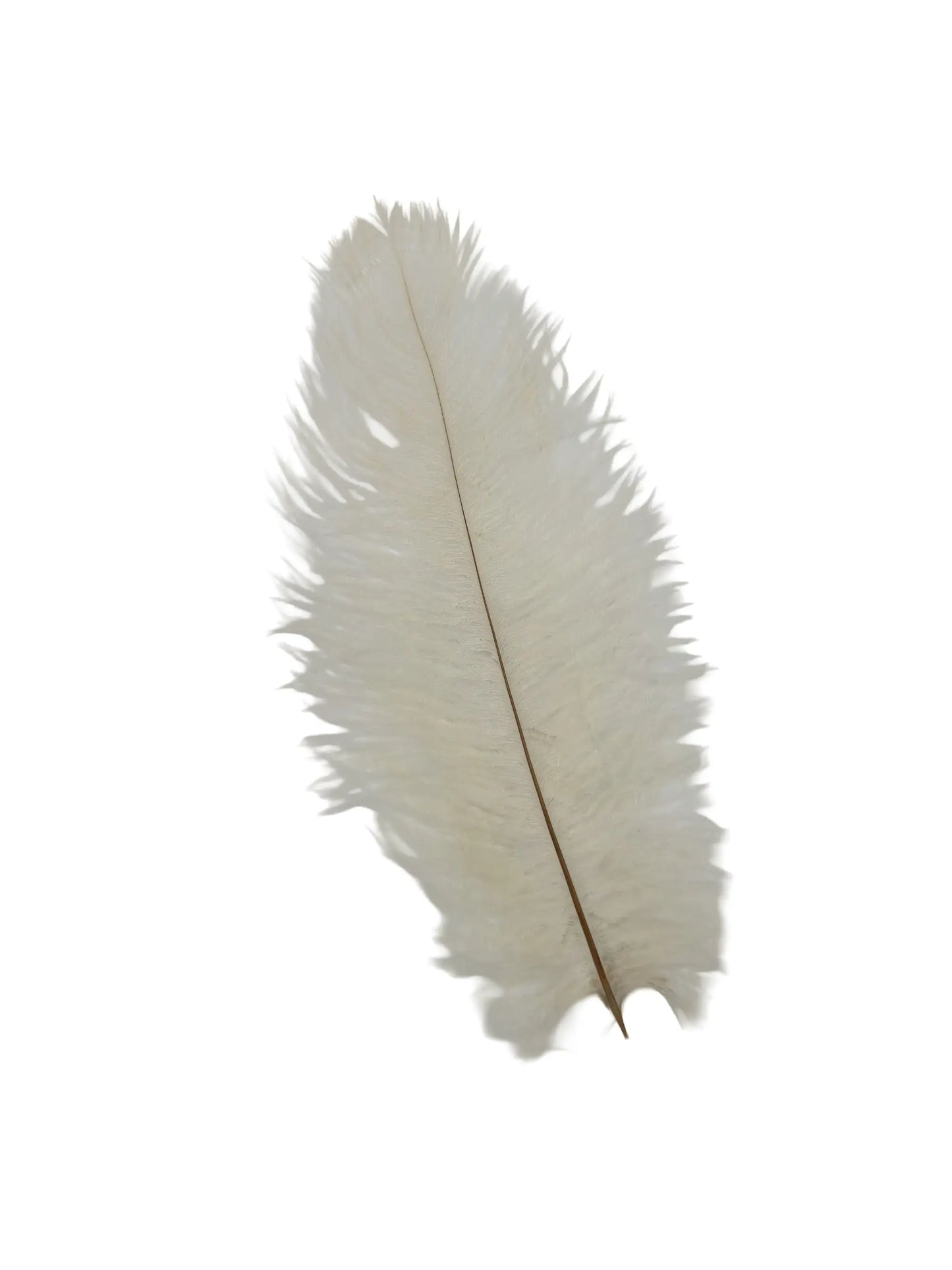 Drabs 30-35cm nácar