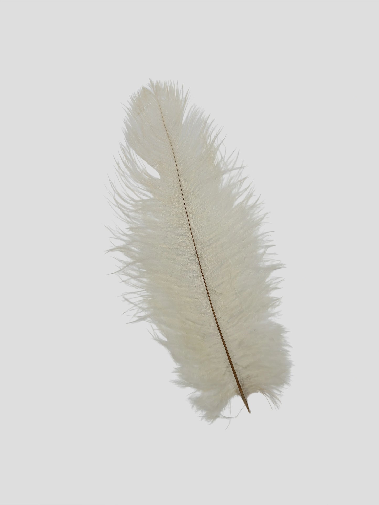 Drabs 30-35cm parelmoer