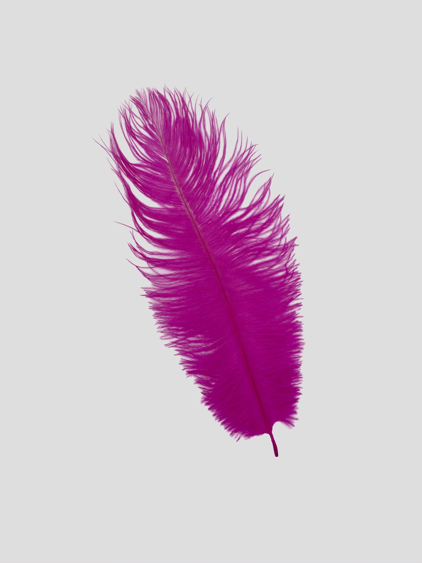 Drabs 30-35cm fuchsia