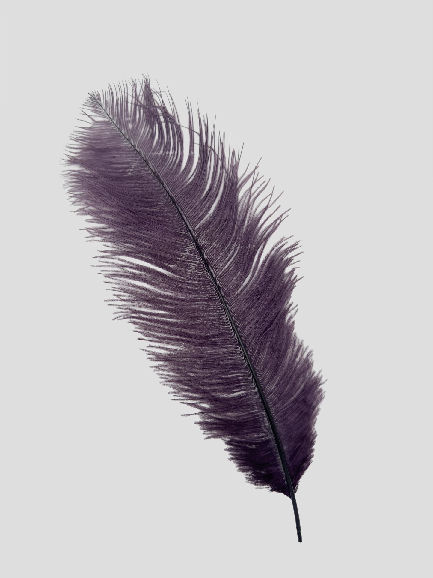 Drabs 30-35cm aubergine