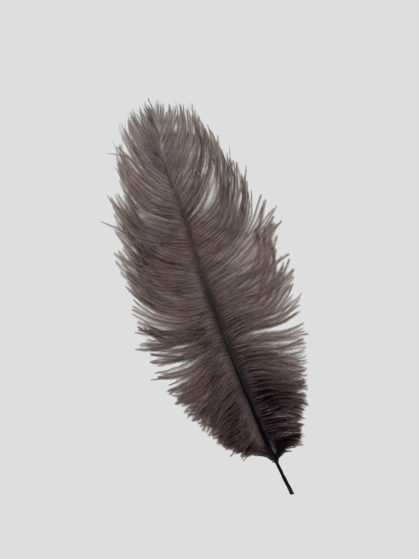 Drabs 30-35cm dark brown