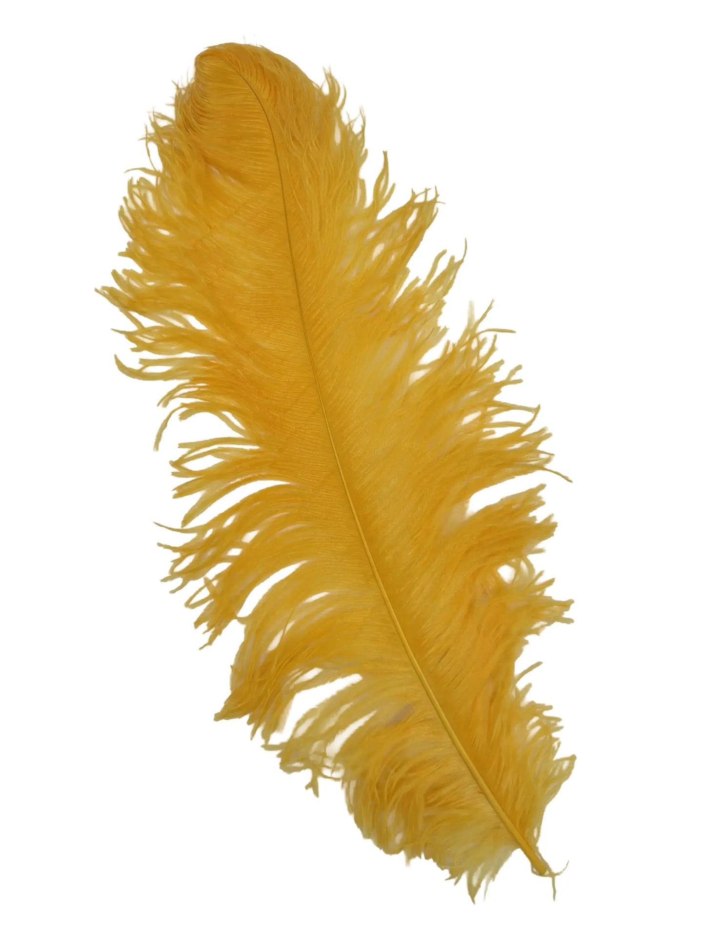 Sederia 66cm eigeel