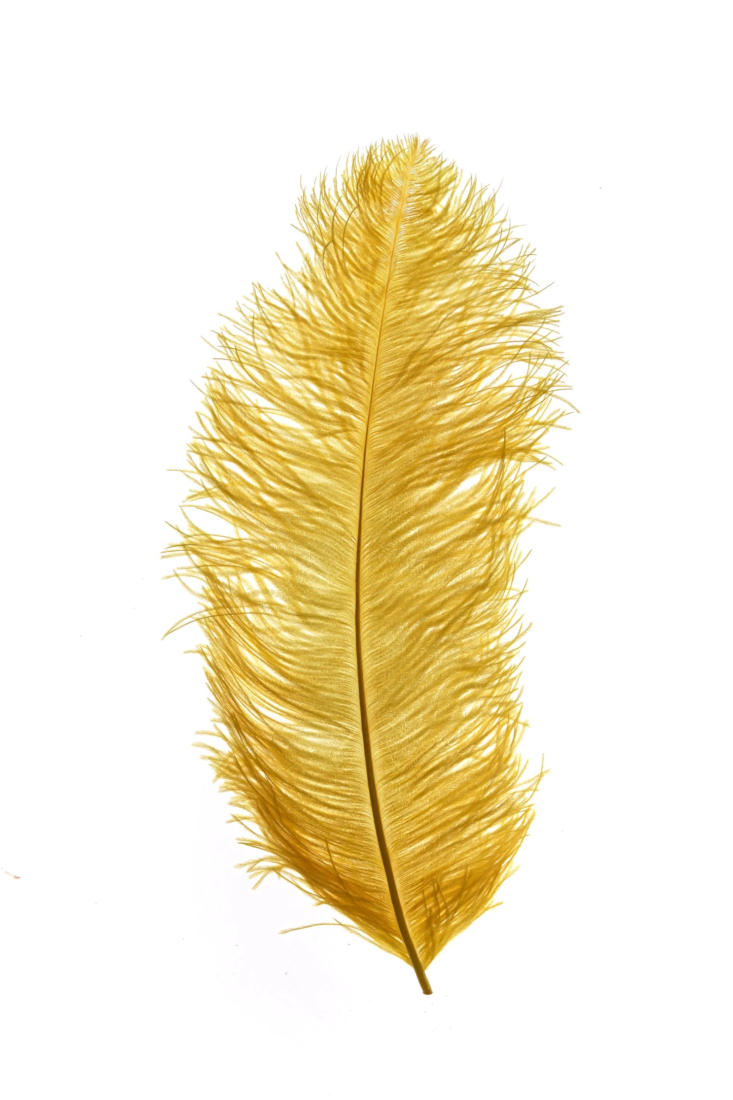 Sederia 66cm amarillo