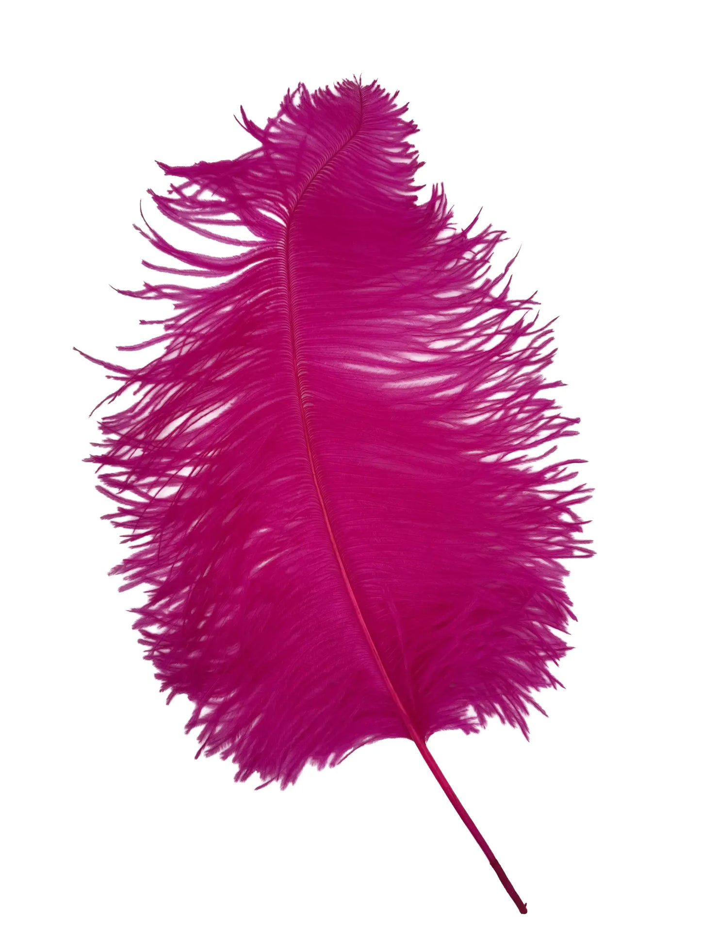 Sederia 66cm fucsia