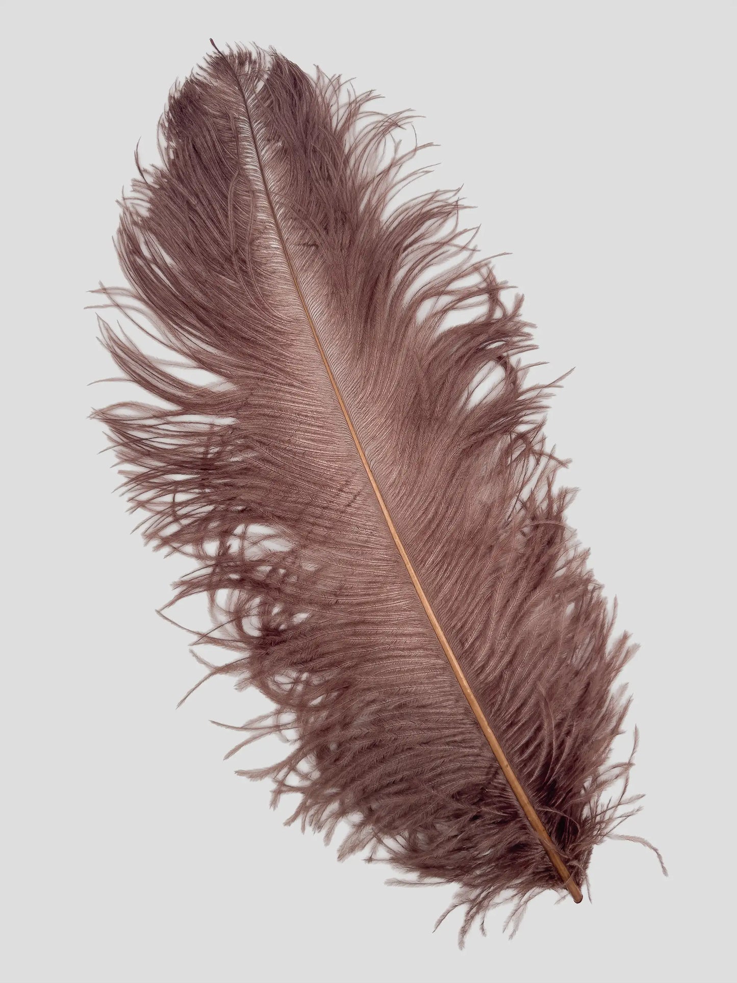 Sederia 66cm light brown