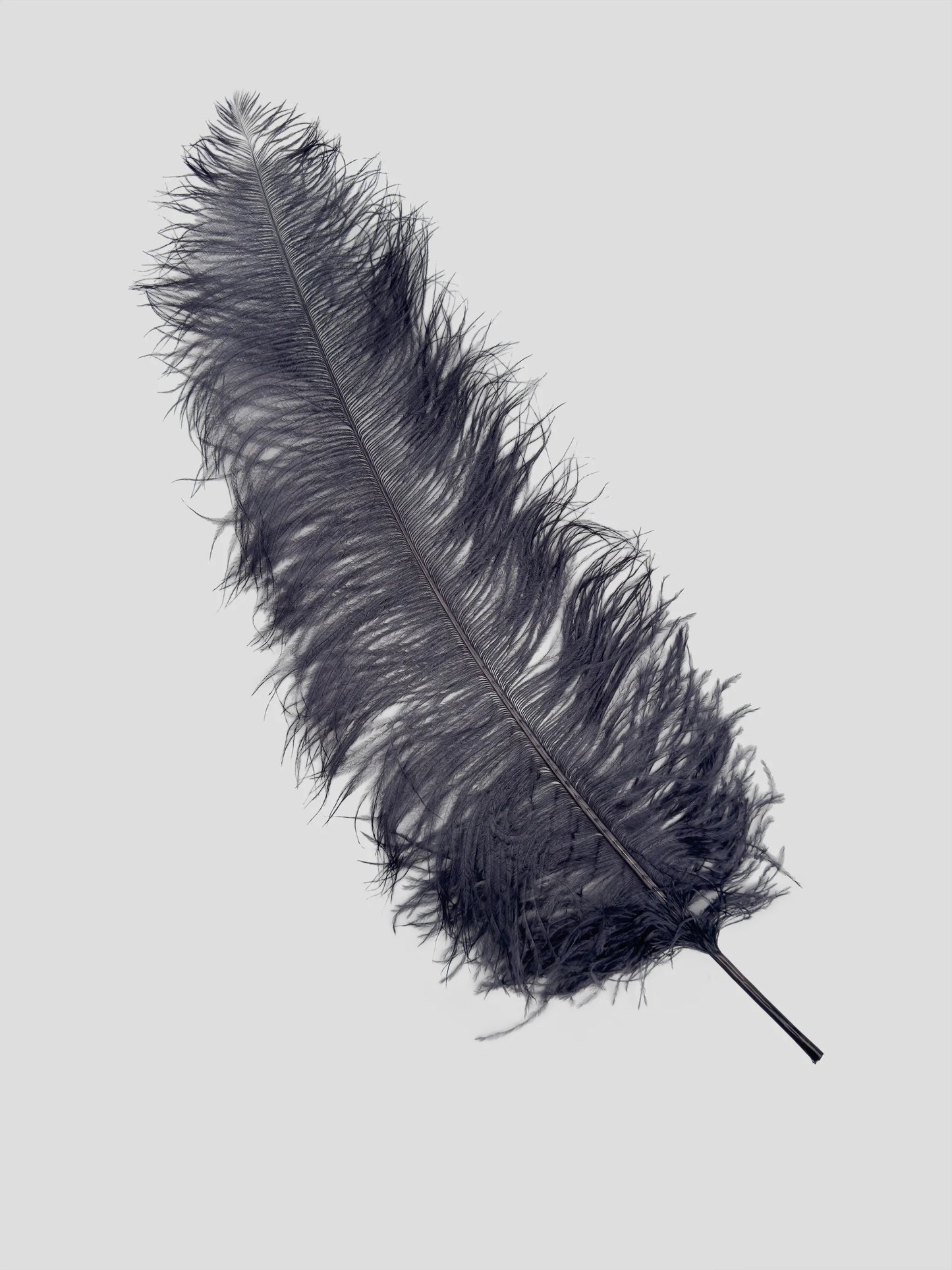 Sederia 66cm antraciet