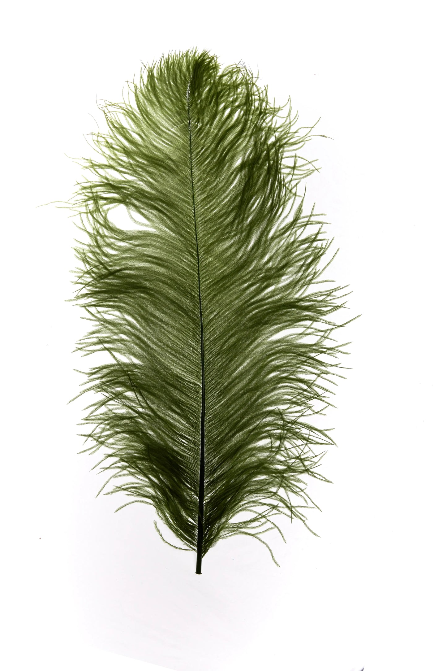 Sederia 66cm verde kiwi