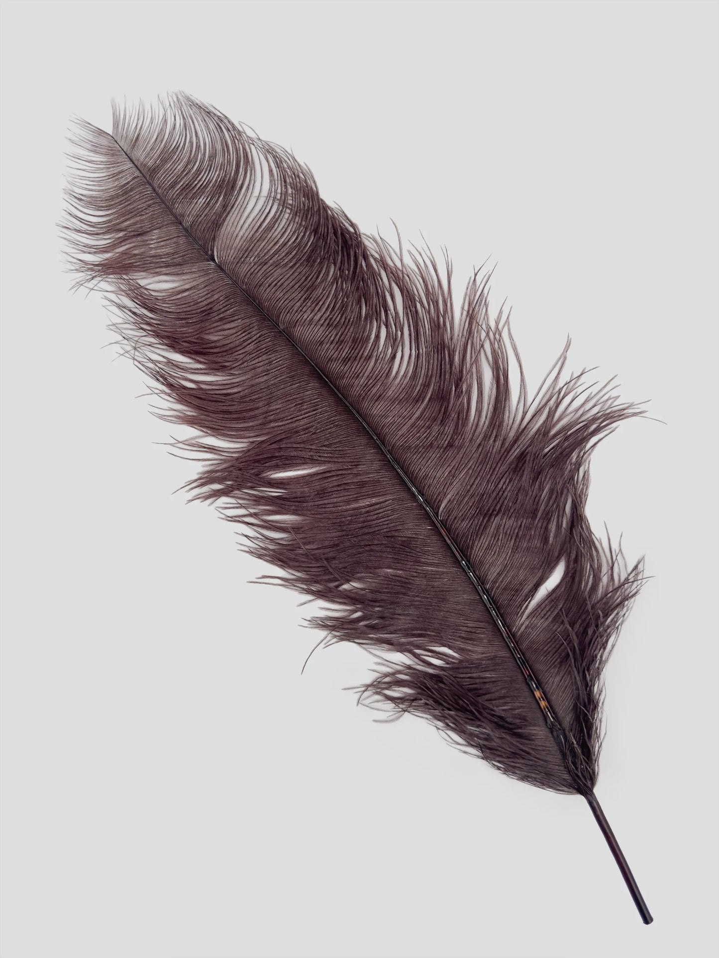 Sederia 66cm marrone scuro