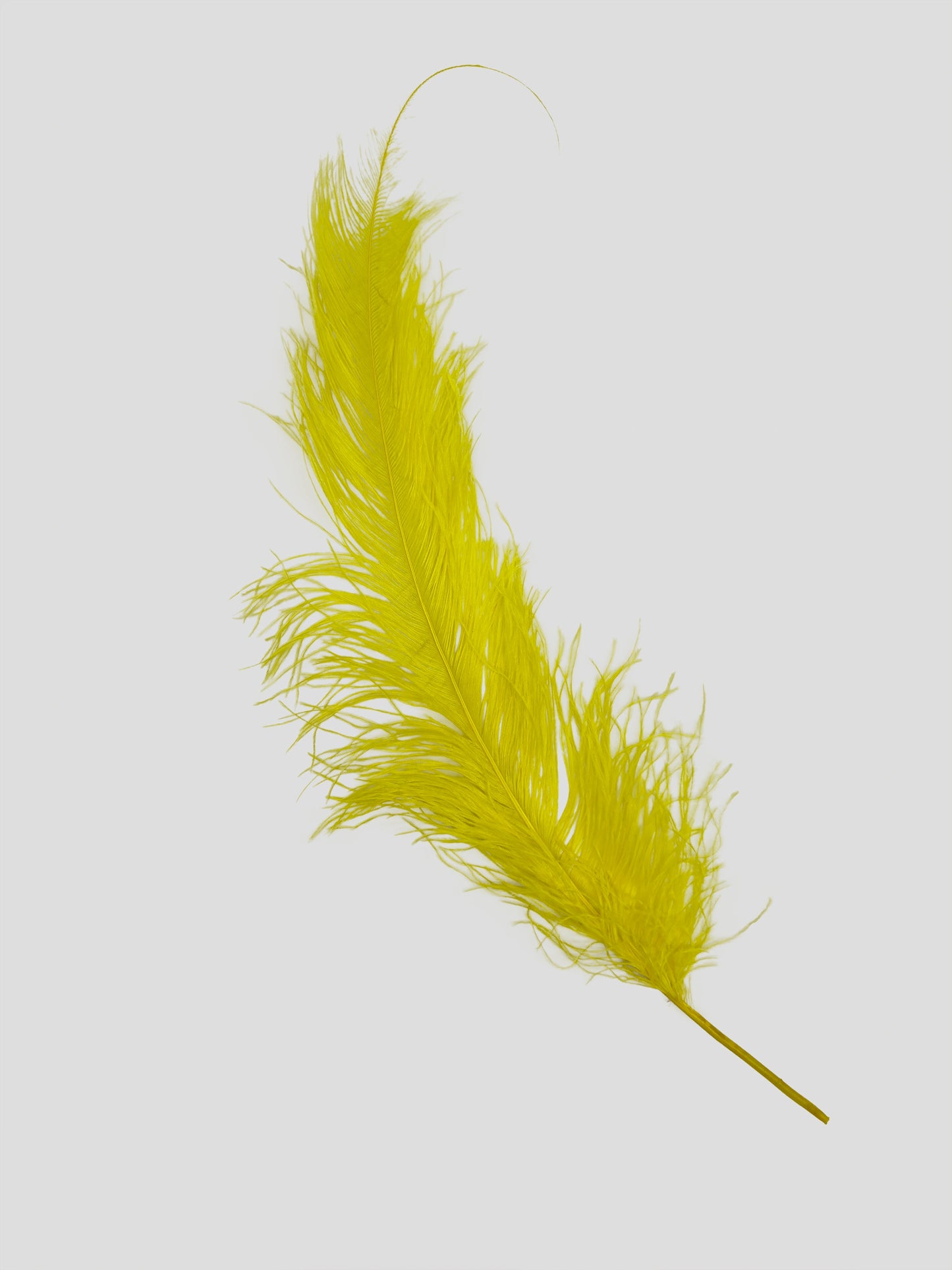 Spadona 66cm paasgeel