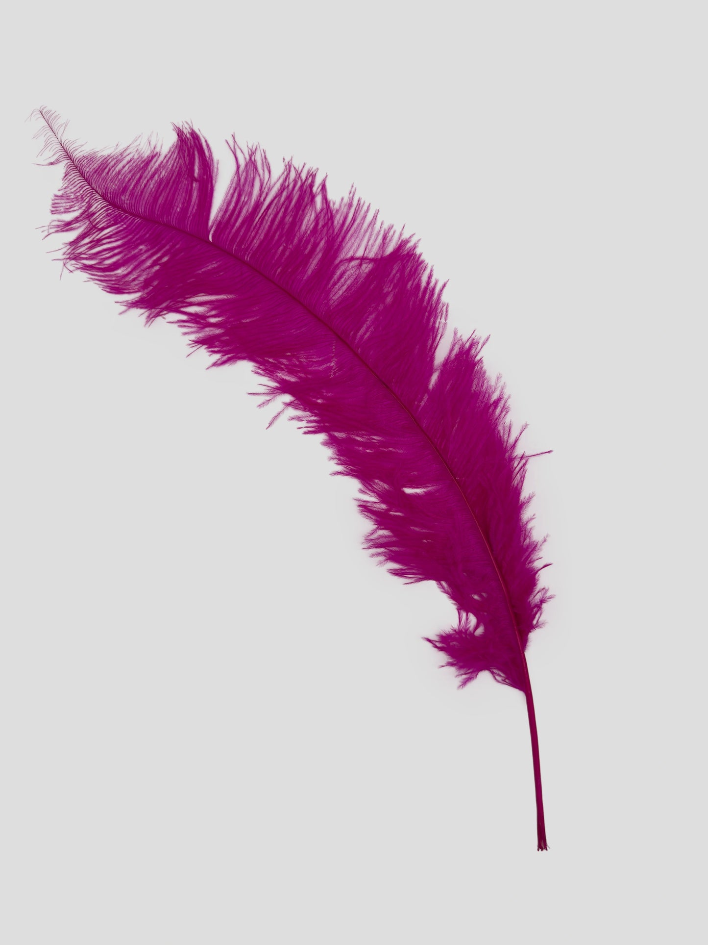 Spadona 66cm fuchsia