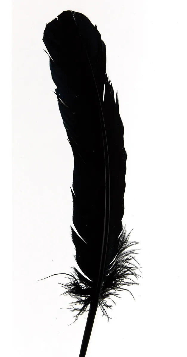 Plumas de ganso 25-30cm negro
