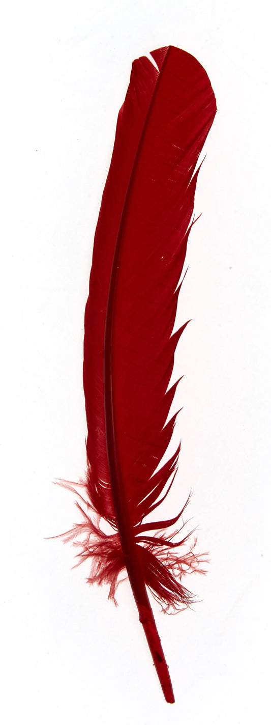 Plumas de ganso 25-30cm rojo