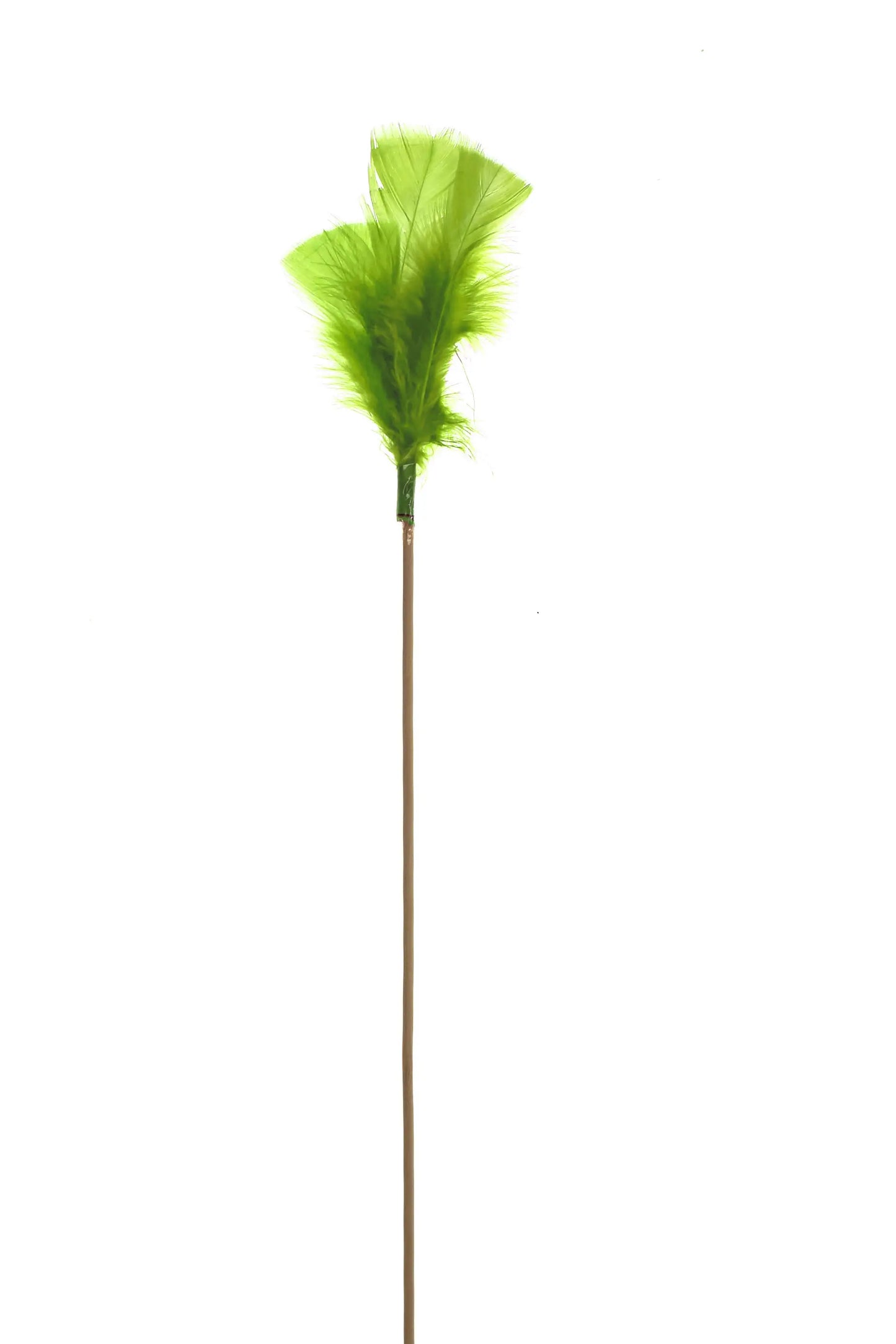 Plumas planas en un palito 50cm verde manzana