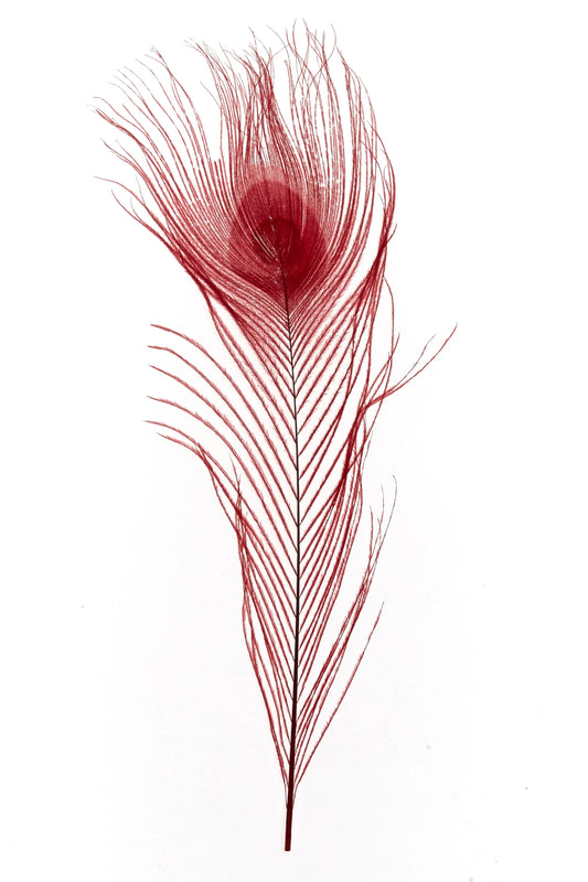 Pavo real 25-30cm rojo tomate