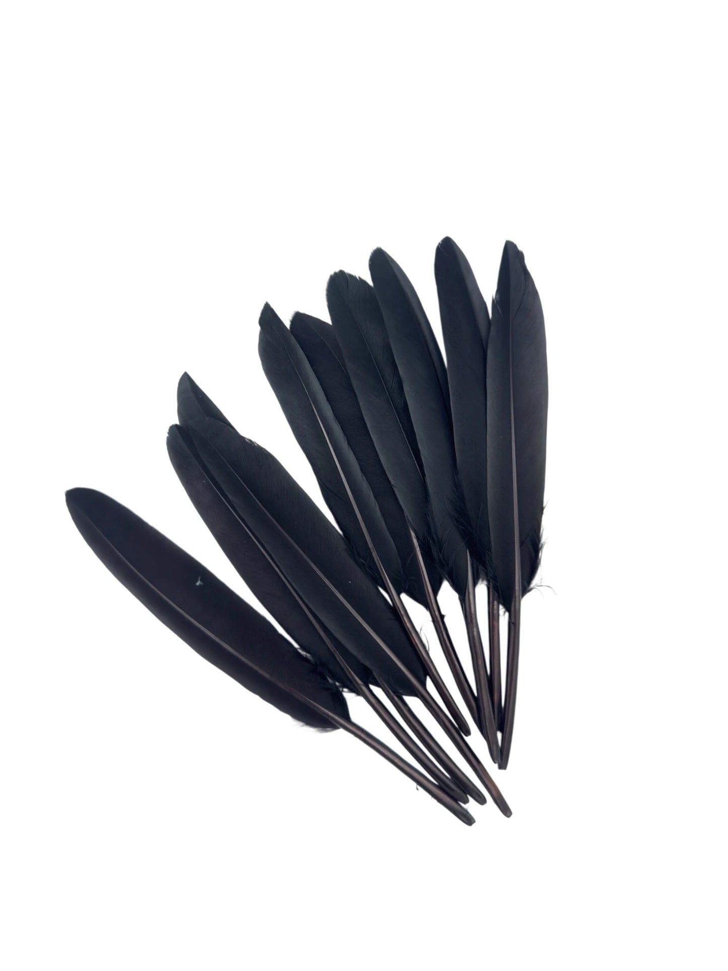 Plumas de ganso 11-12cm negro