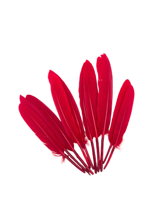 Plumas de ganso 11-12cm rojo tomate