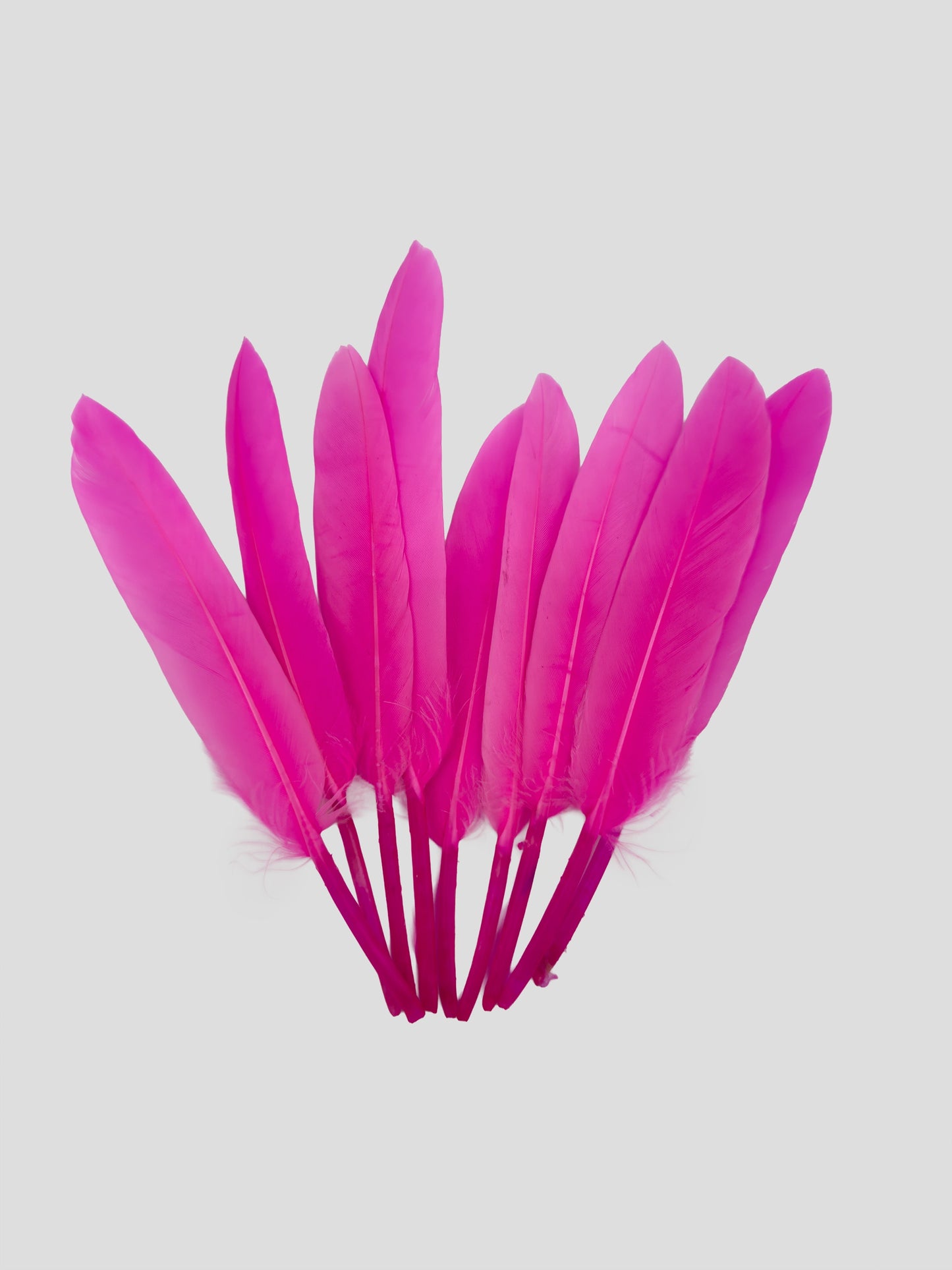 Ganzenveren 11-12cm helroze