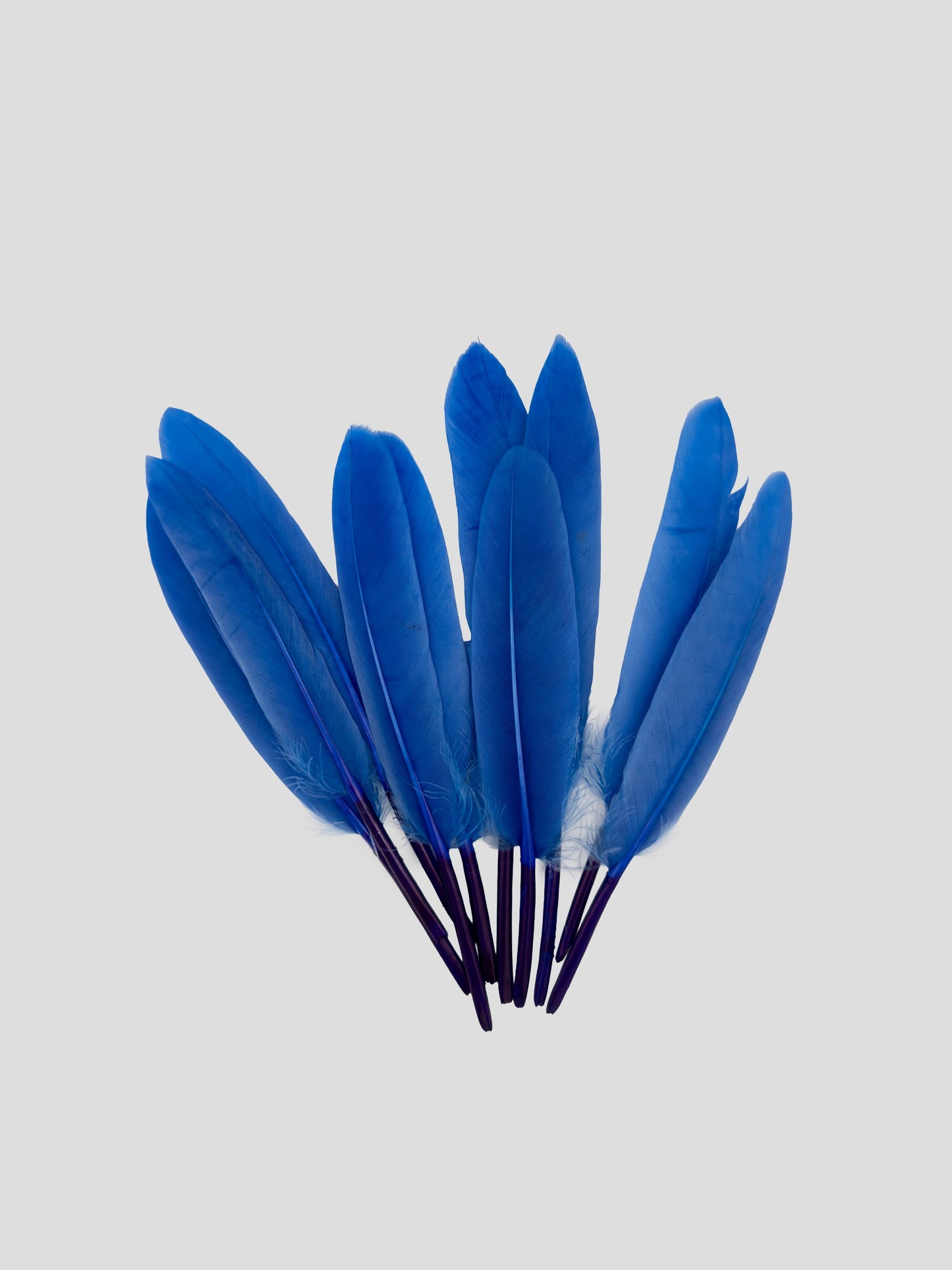 Ganzenveren 11-12cm koningsblauw