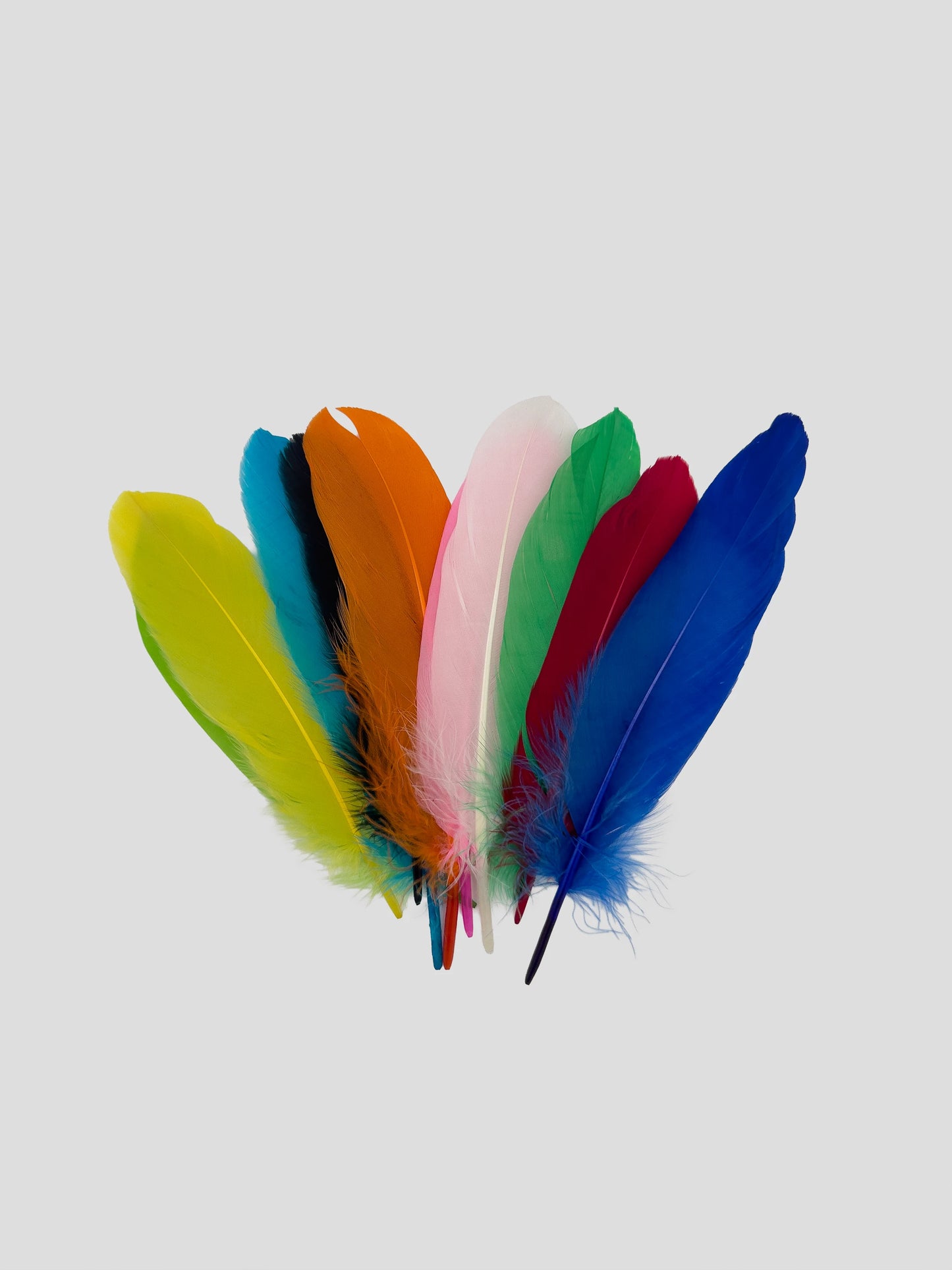 Nageoires 16-20cm Mix